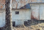 Tin Roof by Tim Colyer